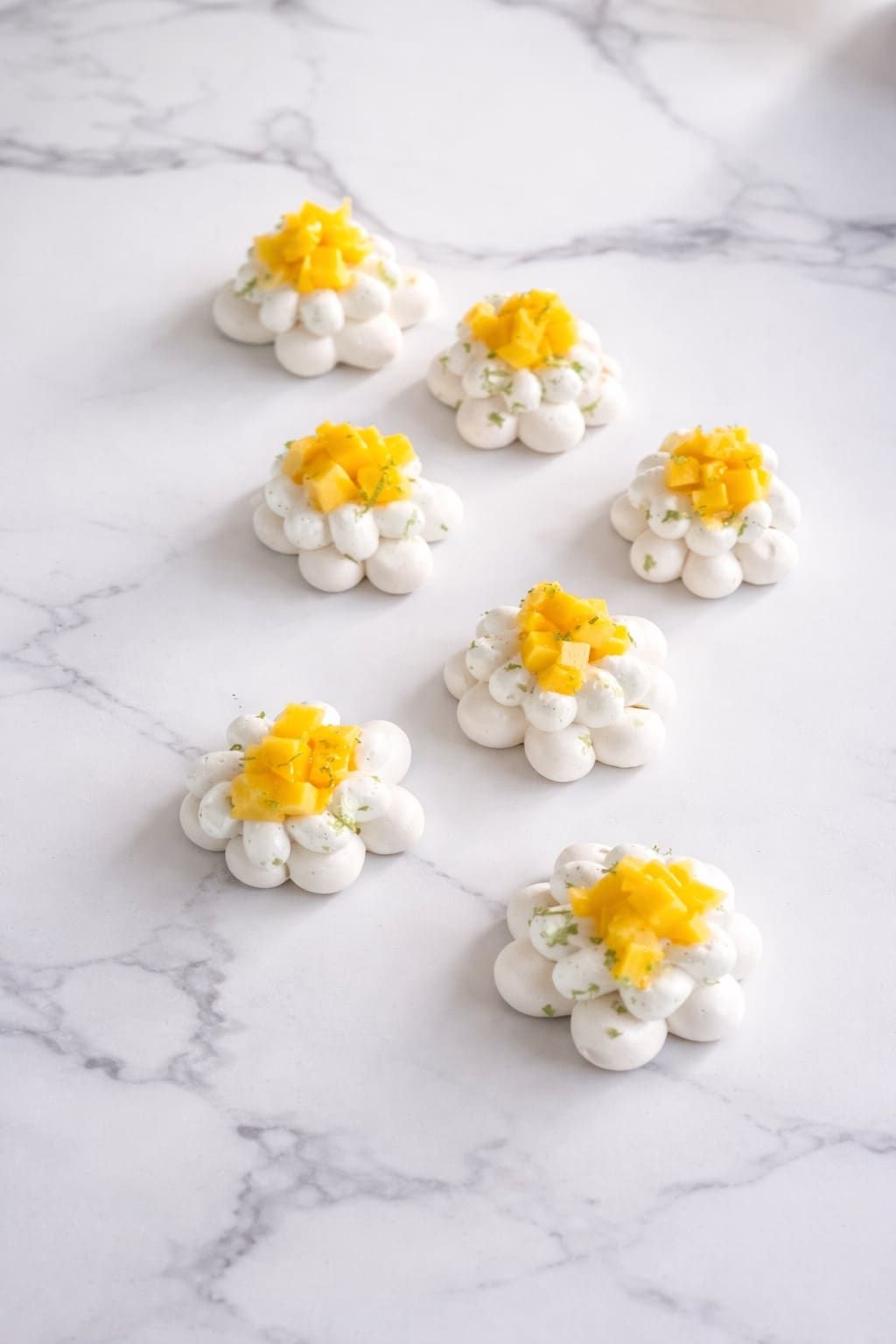 Pavlova Mangue passion